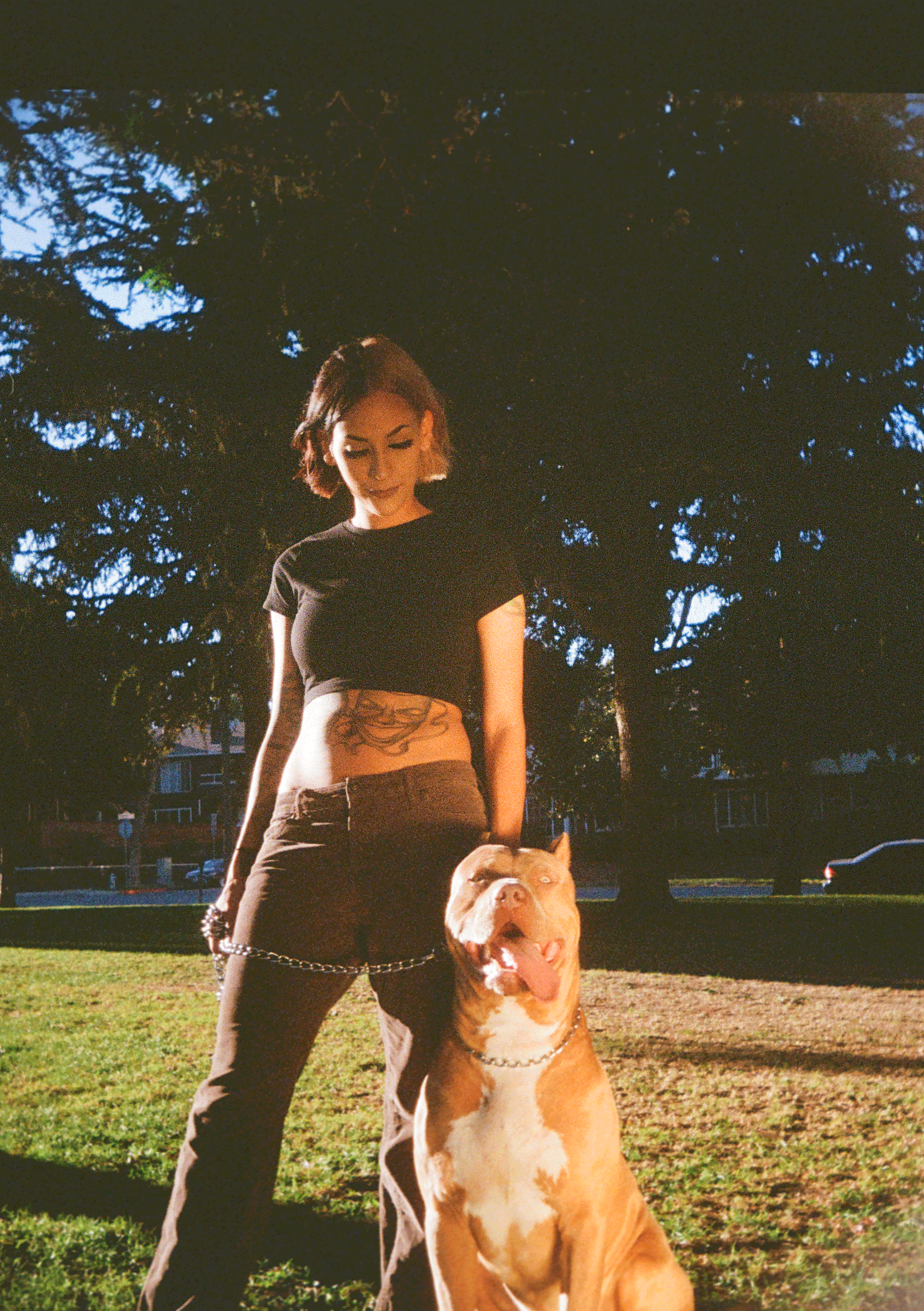 punk girl with pit bull