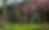 Screenshot 2025-04-30 at 11.50.33 AM.png