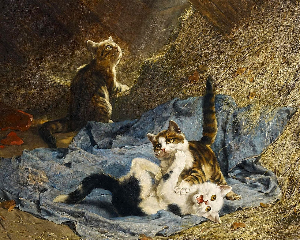 KOŤATA V PODKROVÍ od JULIUS ADAM