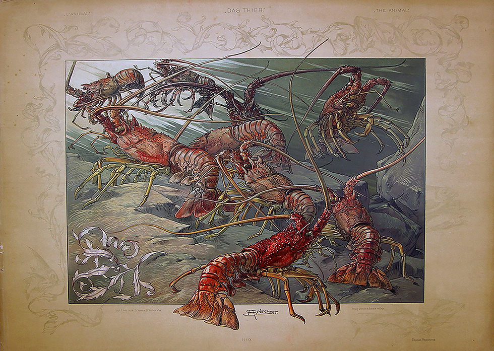CRAYFISH ART NOUVEAU ORNAMENTS