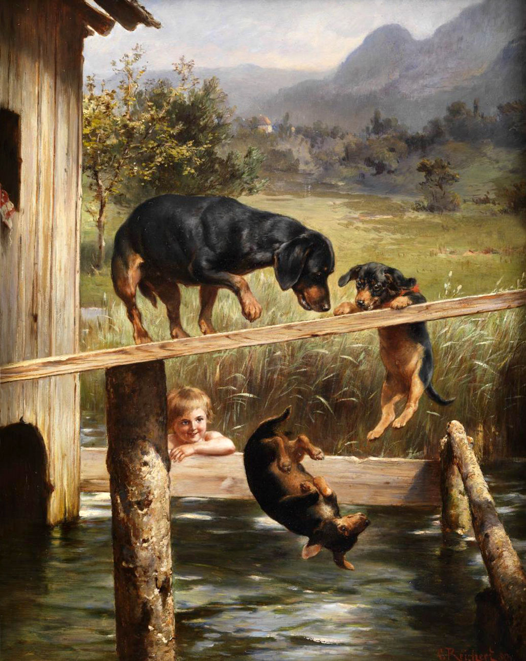 TAX HYSS av CARL REICHERT