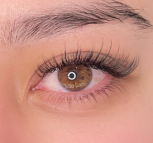 Hybrid wispy.jpg