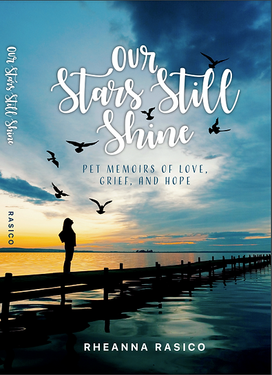 Book Cover.png