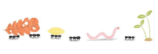 cover (2).jpg
