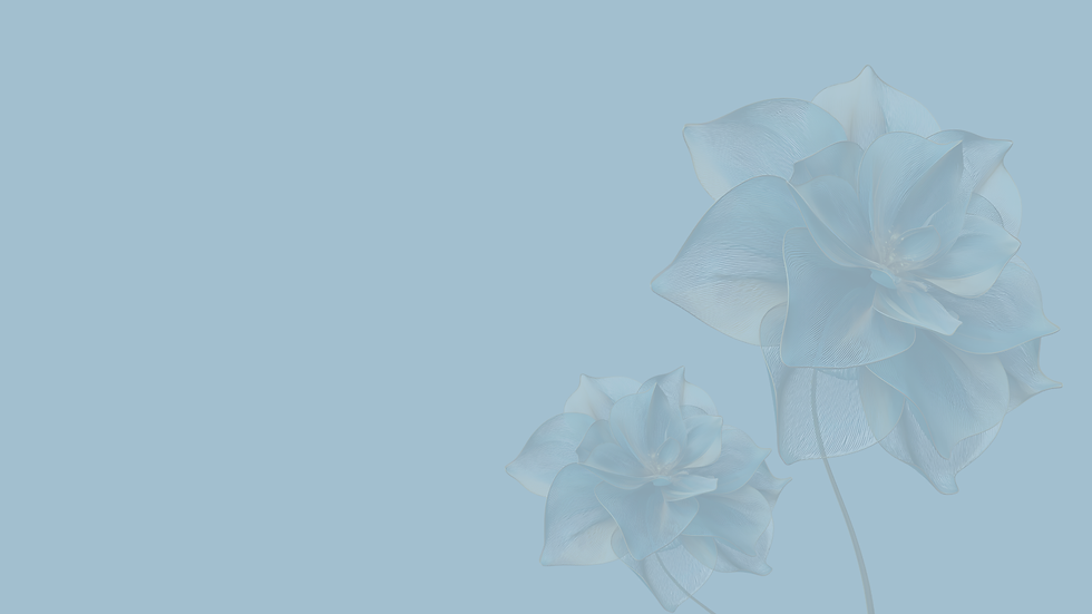 Untitled (1920 x 1080 px) (4).png