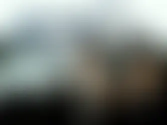 The Blues Brothers (1980)