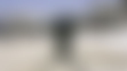 The Hurt Locker (2008)