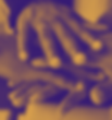 image 1.png