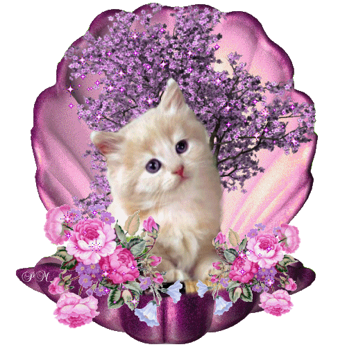 giphy-2.gif