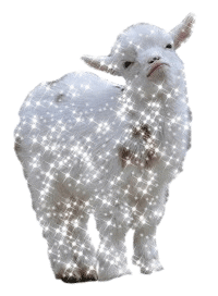 giphy-3.gif
