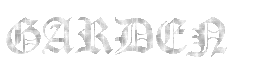 z61bd10f53942e.gif