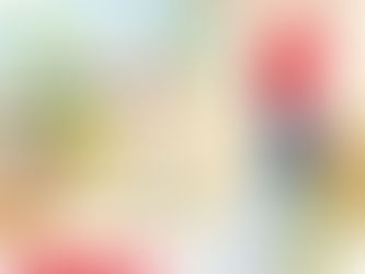 今年もdecolfaブースでDIYショーに出展します!