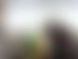 取材がありました。