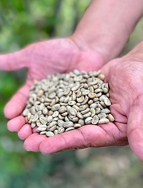 Coffee beans