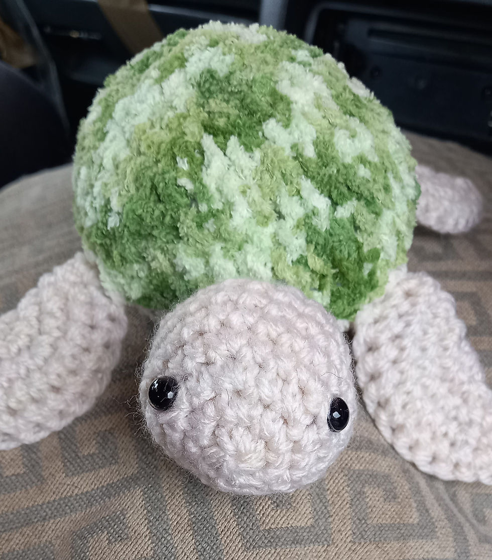 Thumbnail: Mommy turtles 