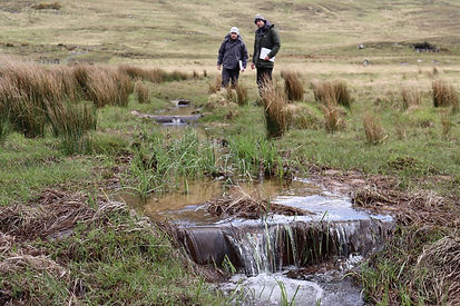 Drain-blocking inpection.jpeg