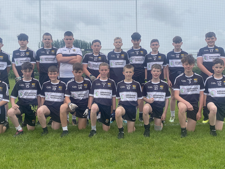 Shrule Gencorrib 4-4 Kilmeena 5-10