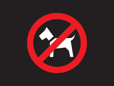 Notice to all Members and Visitors