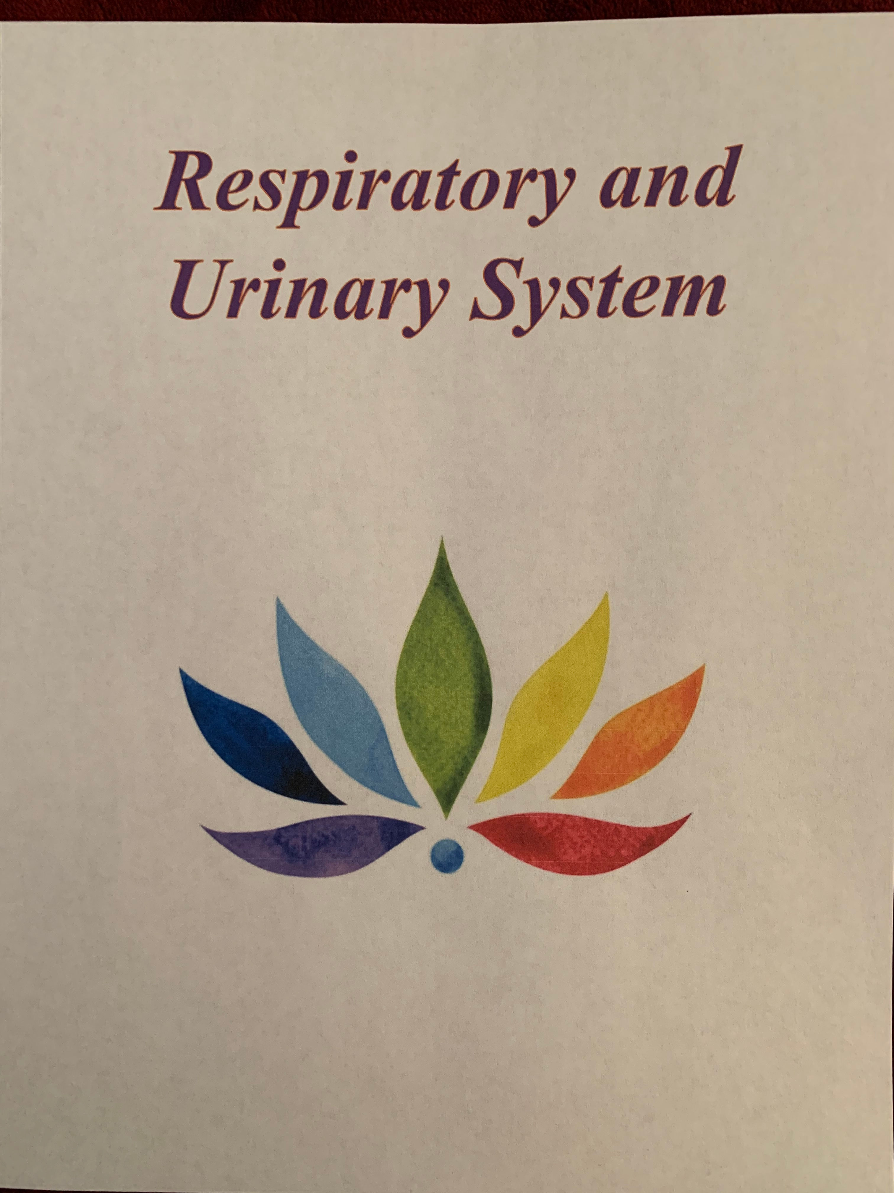 The Bodies Repiratory and Urinary Systems