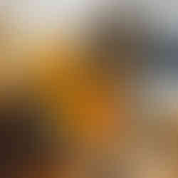 Manaylo_Art_Flamebound_Painting_Abstract_Interior_design_Manajlo_Festmenyek_Lakberendezes_Grace_and_Power_art series_Noble_Art_Nexus_DSC_5071