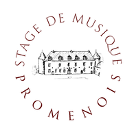 Promenois Logo No Back.png