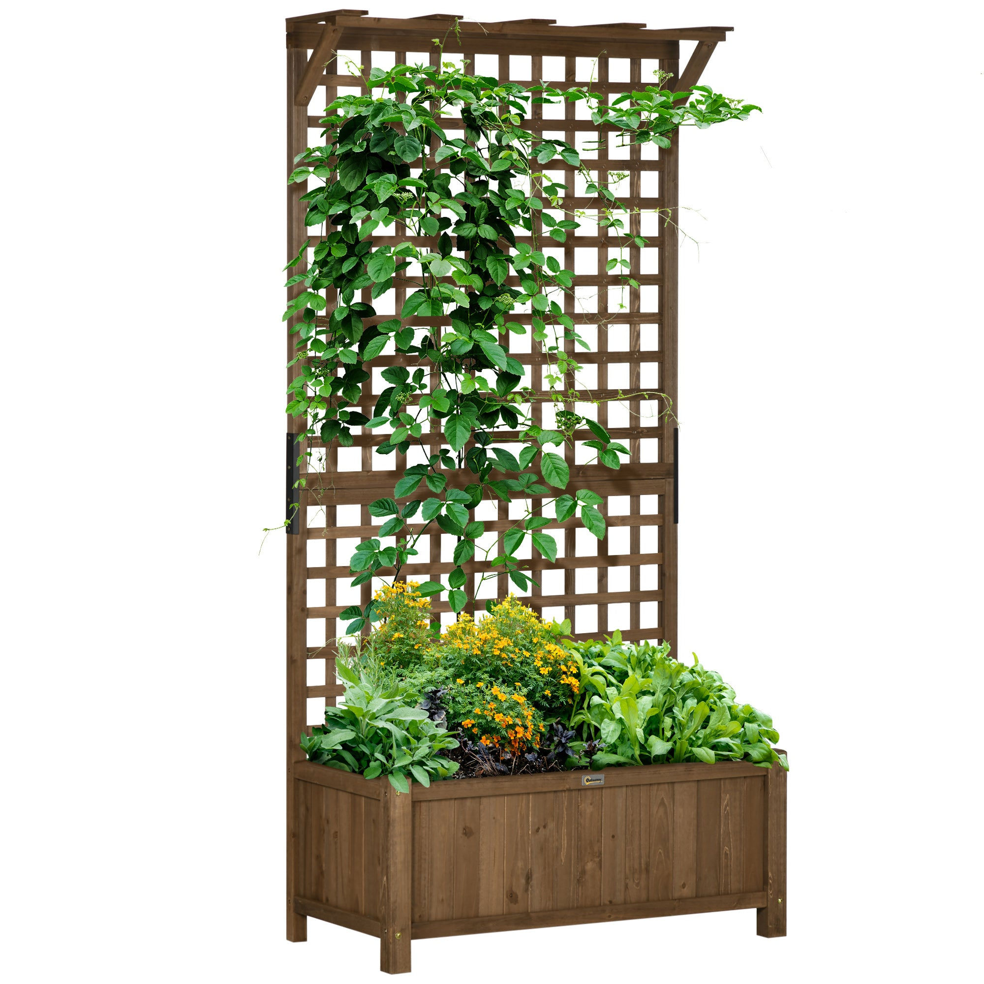 Rex Wood Planter with Trellis for Vines, Raised Garden Bed, Privacy Screen