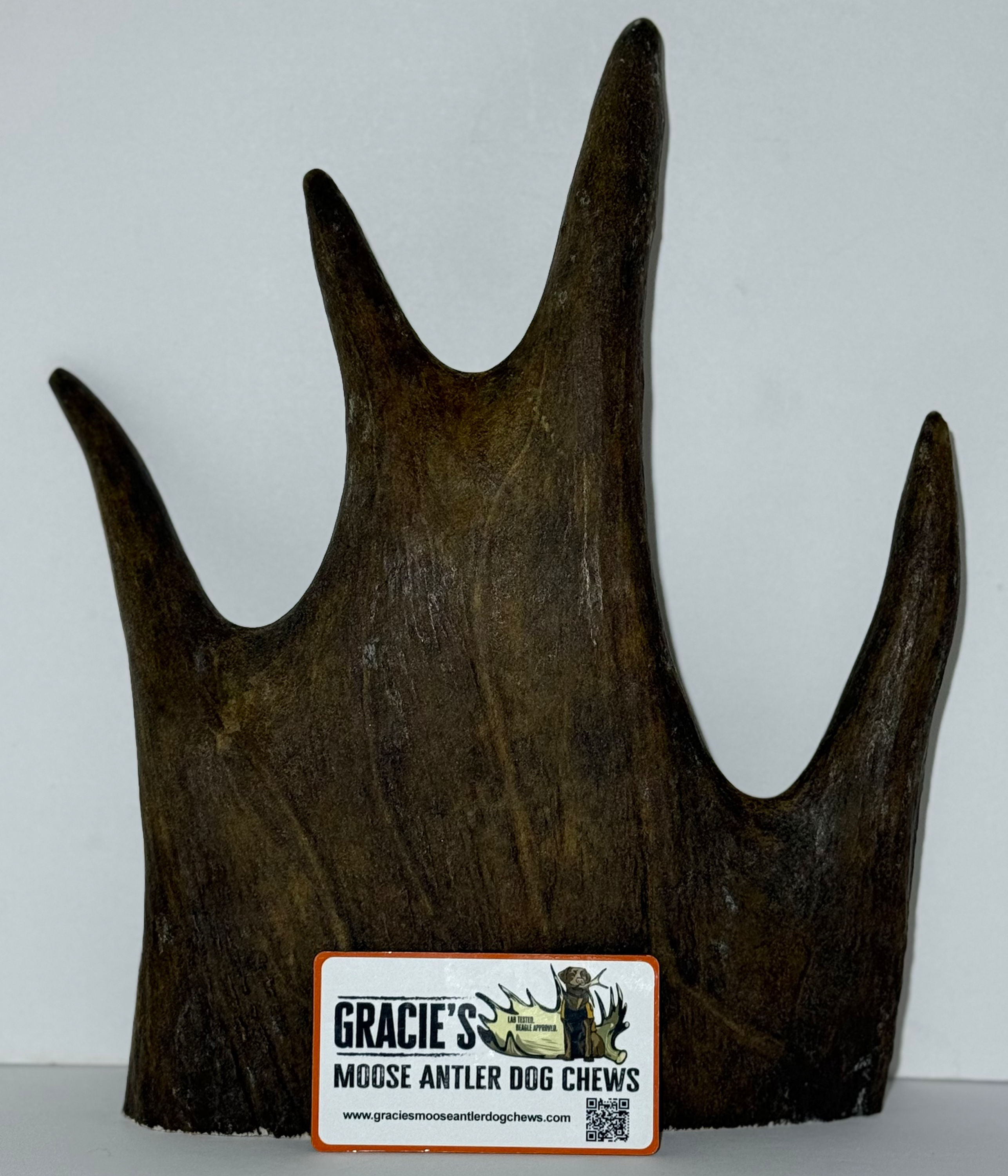 Crown #24
