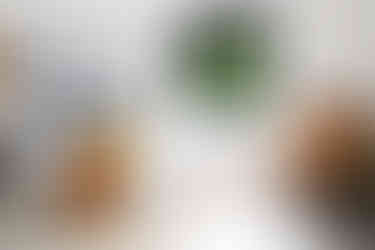 Projeto Finalista no Concurso do RESA EUA