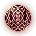 flower_of_life_circular.png