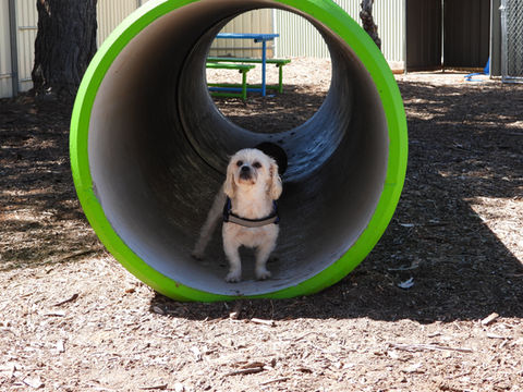 DSCN0397.JPG