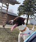IMG_2525.jpeg