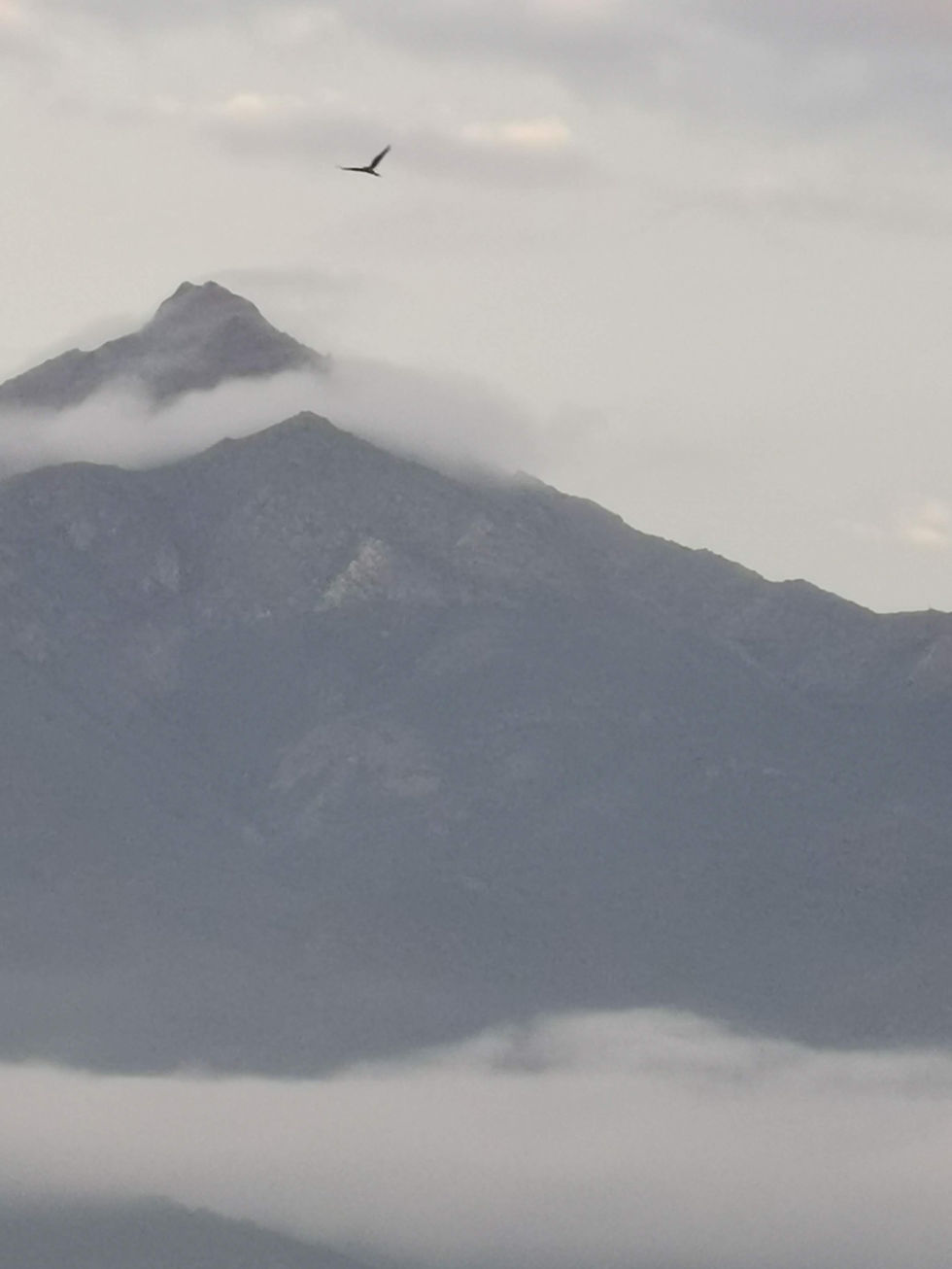 Cerro La Campanita, Chile