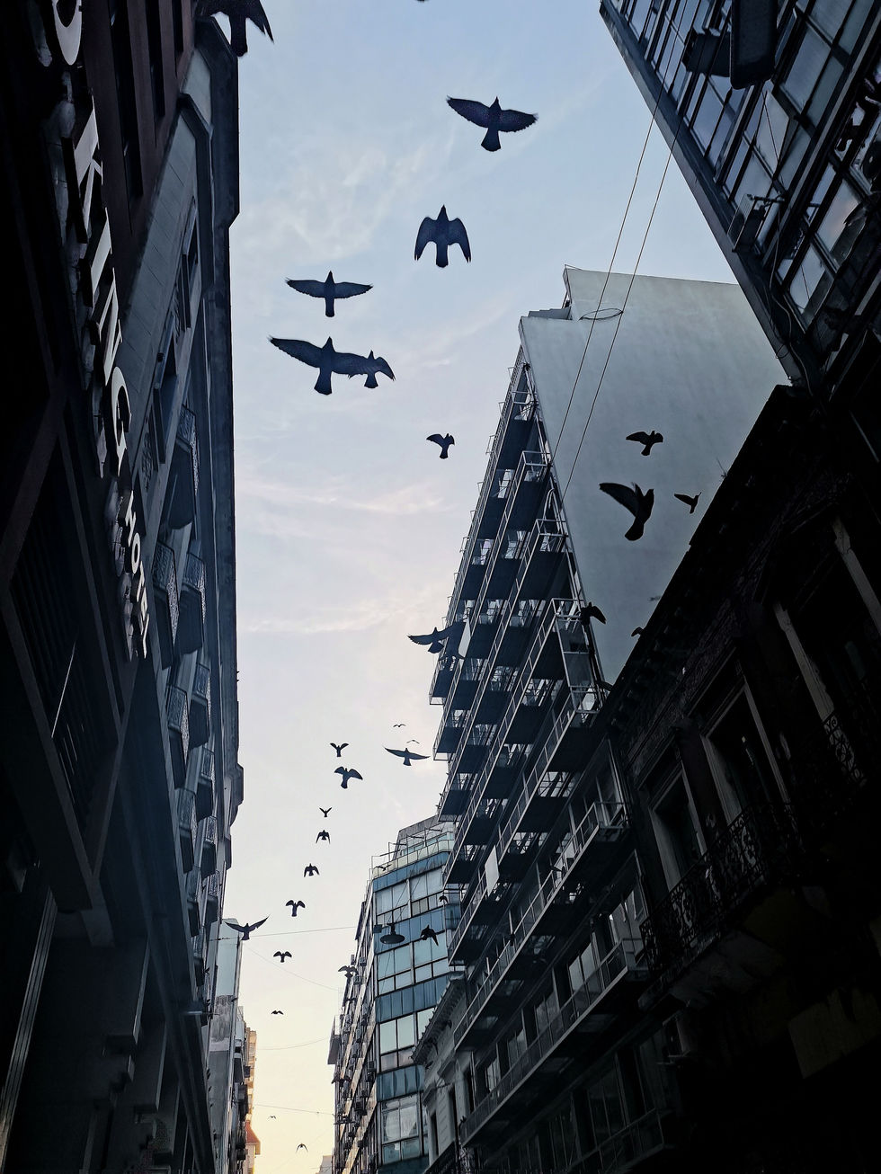 Dispara, la vida es un flash, Argentina