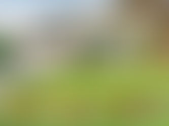 Spring Action - The Housing Market is blooming!