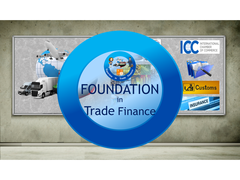 The Foundation Program