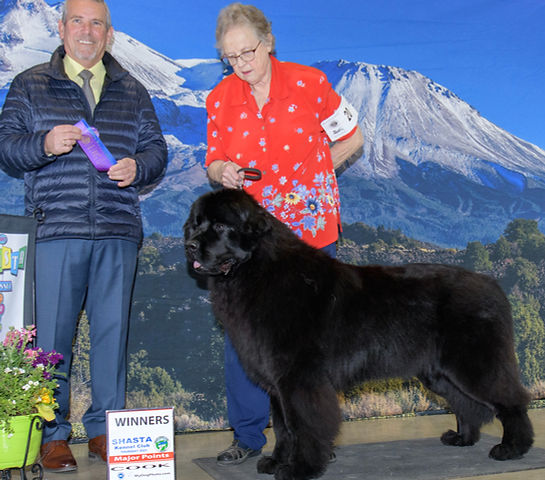 2023-03-16-THU-SHASTA_Courtney_edited.jp