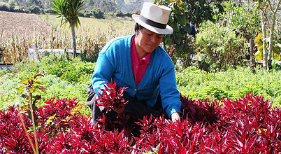 agricultores_horchata260214.jpg
