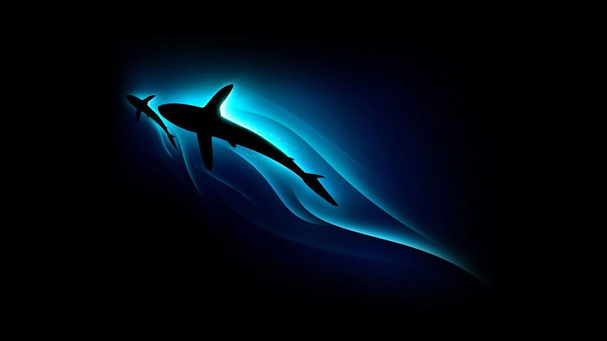 clickwallpapers-shark-in-full-hd-wallpaper-img1.jpg_w=958&ssl=1.jpg
