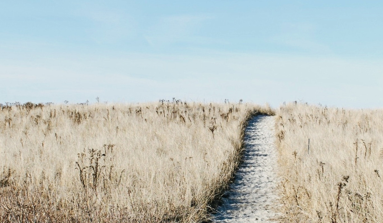 pathway and field to a beach suggesting a way forward through mental health difficulties