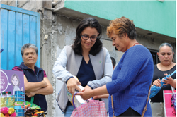 Elementos informe-18