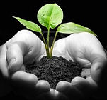 photo - Copie (3).jpg