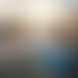 Domingo XXVII del T.O. 3 de Octubre