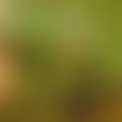 Domingo V del T.O. 6 de Febrero