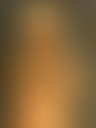 Domingo XXIV del Tiempo Ordinario, 15 de septiembre