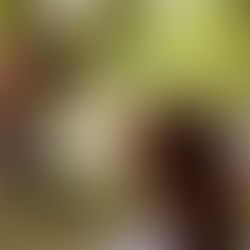 Domingo XXVIII del T.O. 9 de Octubre