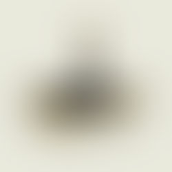 Domingo XXXIII del T.O. 7 de Noviembre