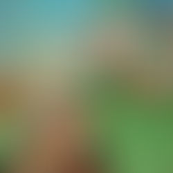 Domingo XXI del T.O. 21 de Agosto