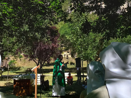 Domingo XXIX del T.O. 11 de agosto