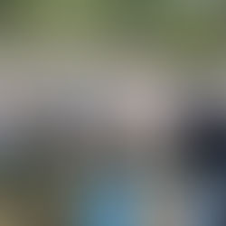 Tercer domingo de Adviento, 12 de Diciembre