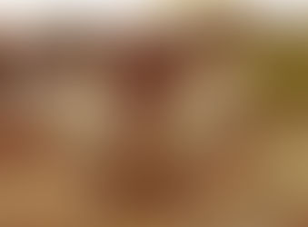 Domingo VII del Tiempo Ordinario, 23 de Febrero